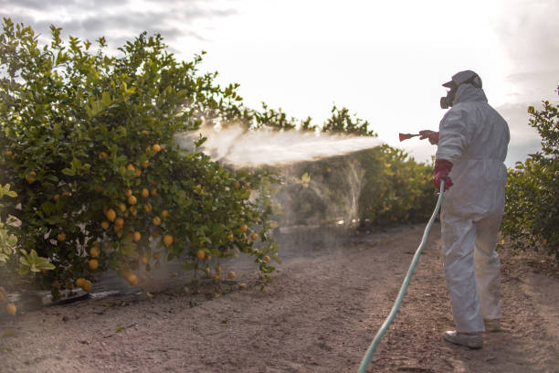 Best Cockroach Control Services  in Catawba, SC